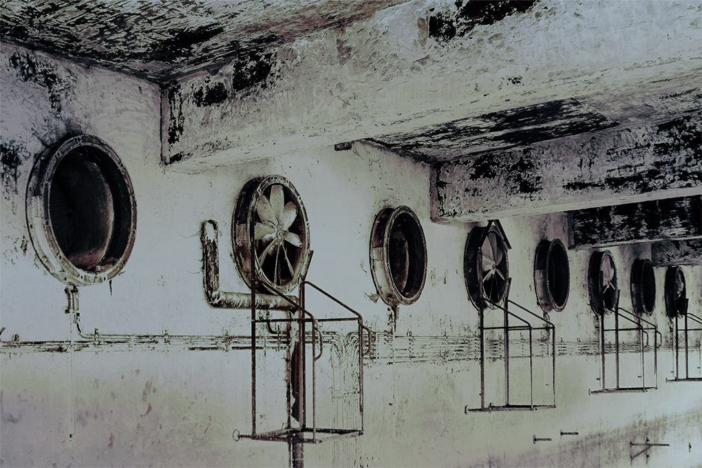 Decay