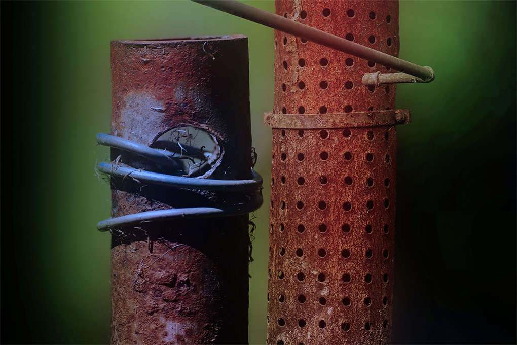 Decay