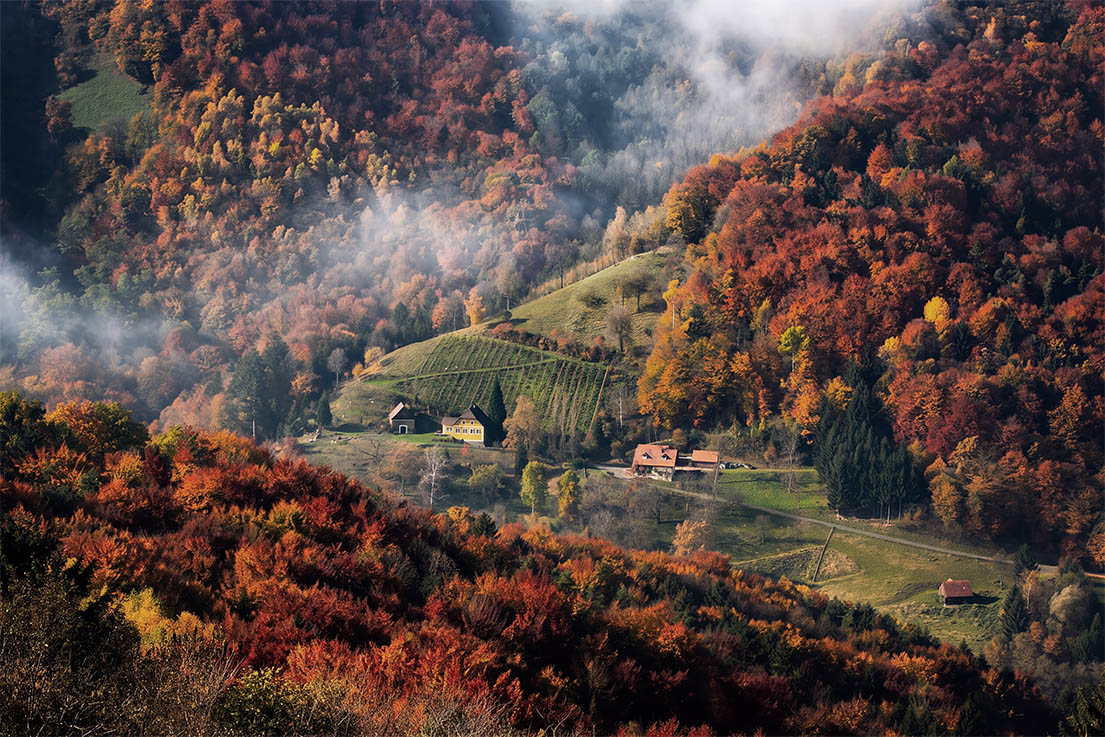 Nature