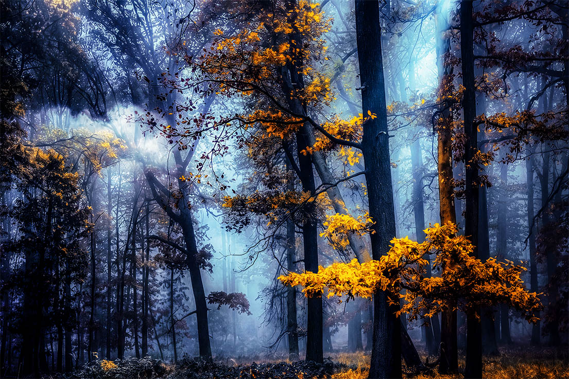 Nature