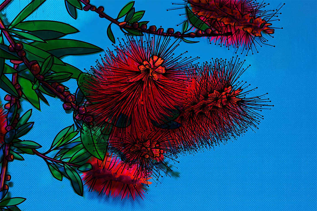 popart